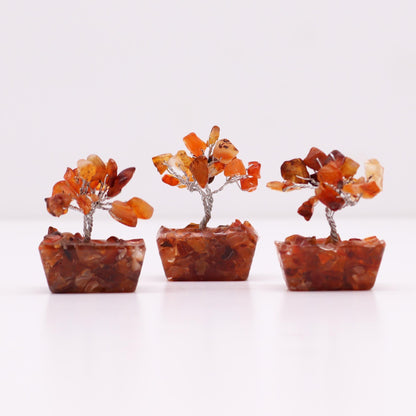Carnelian Mini Gemstone Tree – Orgonite Base, 15 Stones, mini árbol decorativo con piedras de cornalina naranja y base de orgonita
