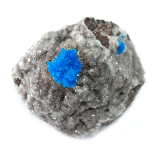 Alt Tag: Cavansite with Matrix – 30–40 MM mineral specimen with vivid blue cavansite crystals on gray volcanic matrix, close-up
