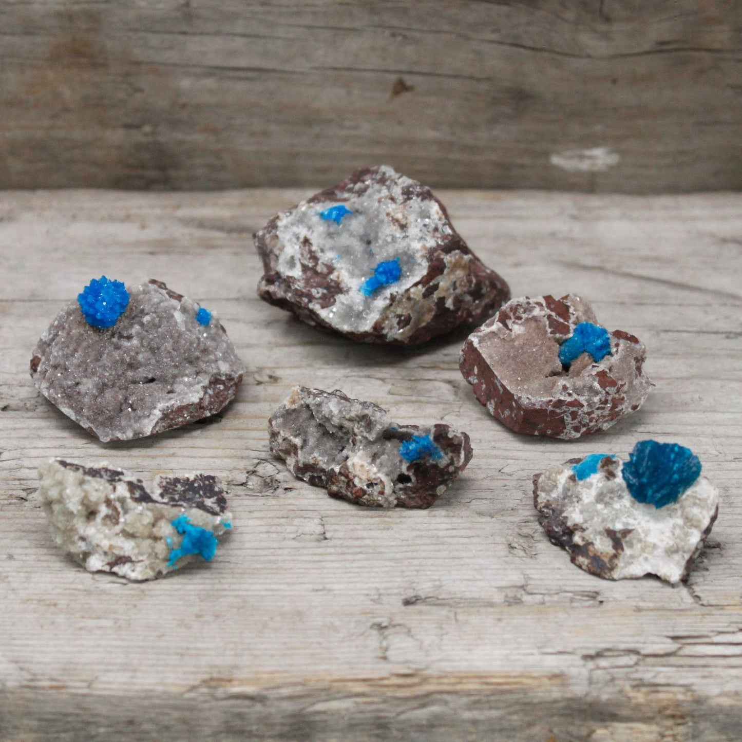 Alt Tag: Cavansit med matrix – 30–40 MM naturliga mineralspecimen med klargula cavansitkristaller på vulkanisk matrix, gruppfoto