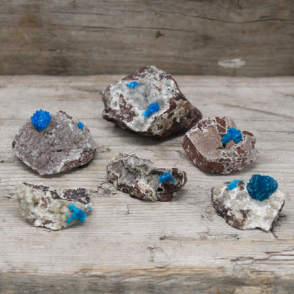 Alt Tag: Cavansit med matrix – 30–40 MM naturliga mineralspecimen med klargula cavansitkristaller på vulkanisk matrix, gruppfoto