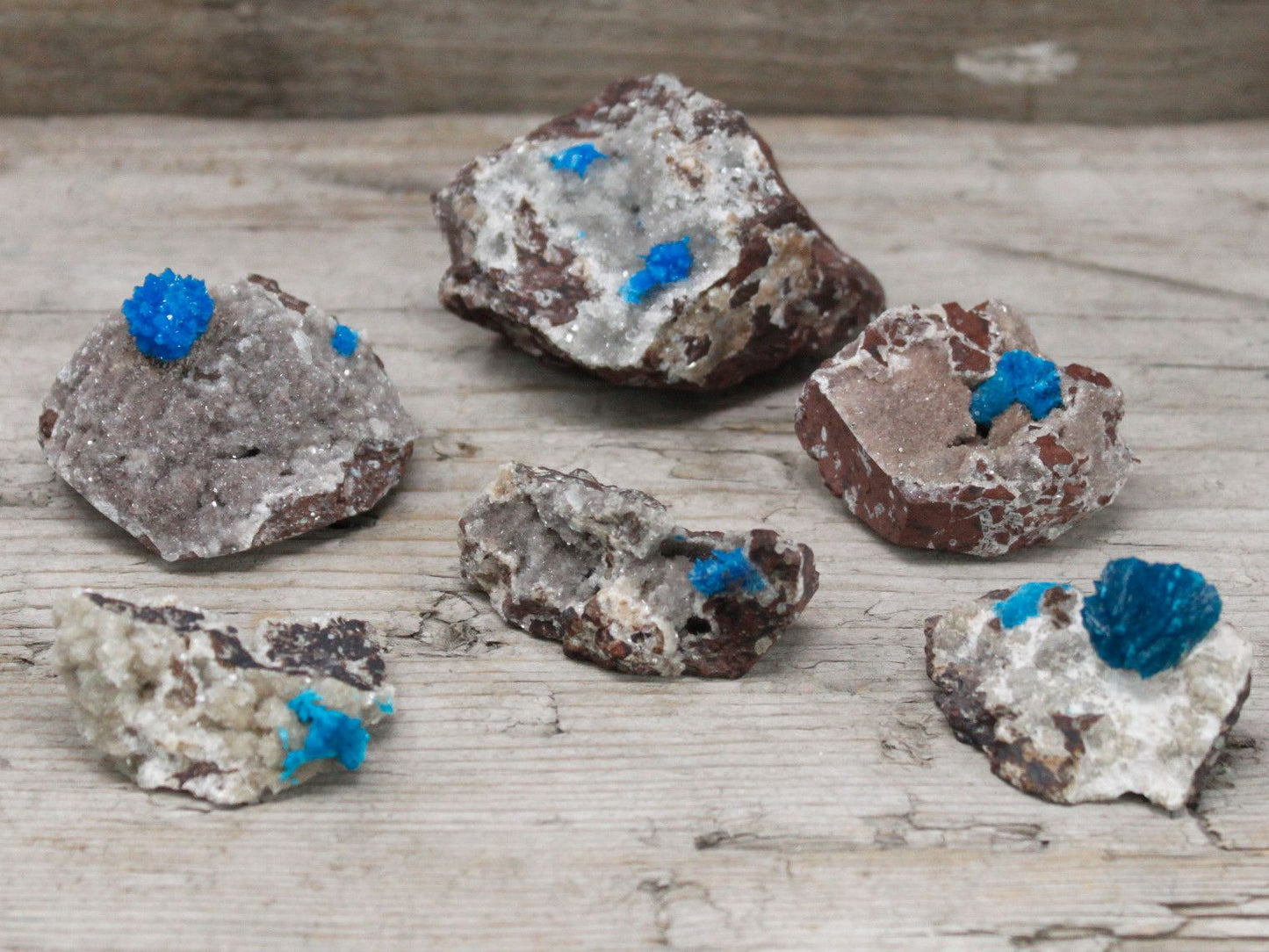 Cavansite med matrix – 30–40 mm naturliga blå cavansitkristallkluster i vulkanisk matrix, mineralexemplar på träyta