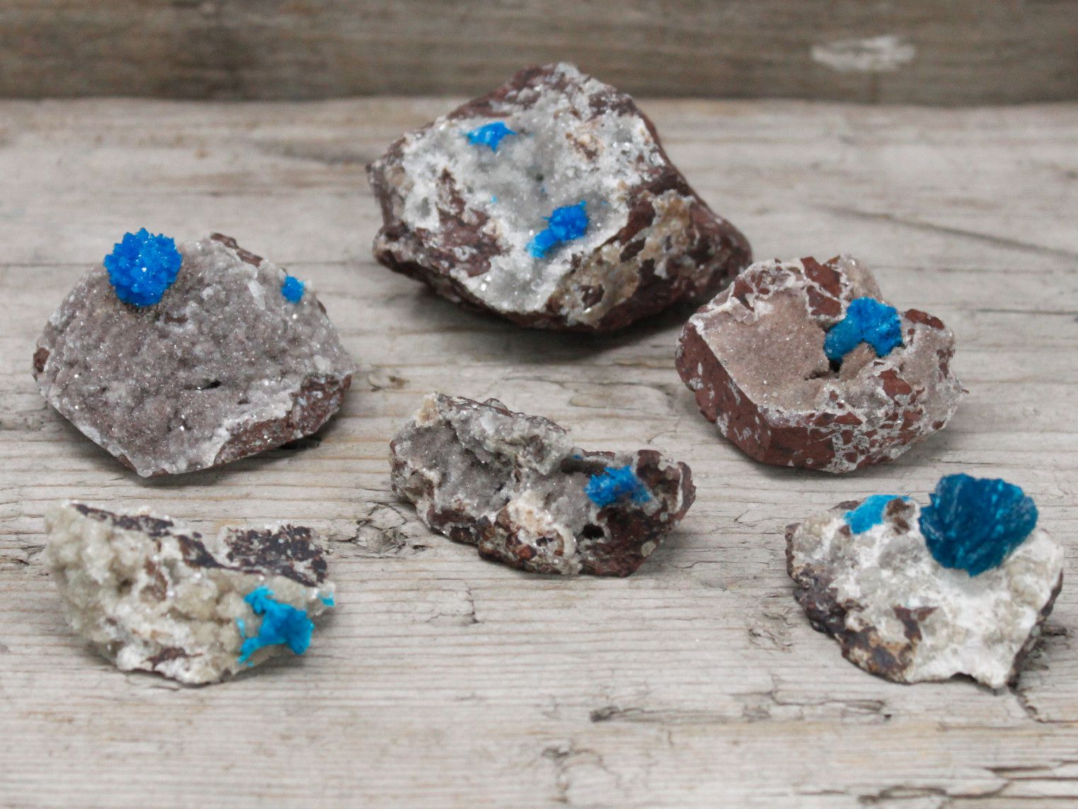 Cavansite med matrix – 30–40 mm naturliga blå cavansitkristallkluster i vulkanisk matrix, mineralexemplar på träyta