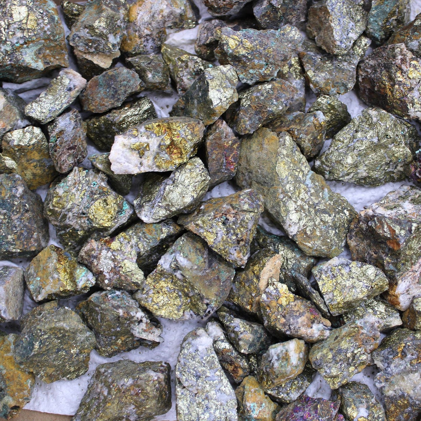 Chalcopyrite Mineral Collection – Approx. 80 Pieces rough chalcopyrite stones with metallic gold iridescent surface