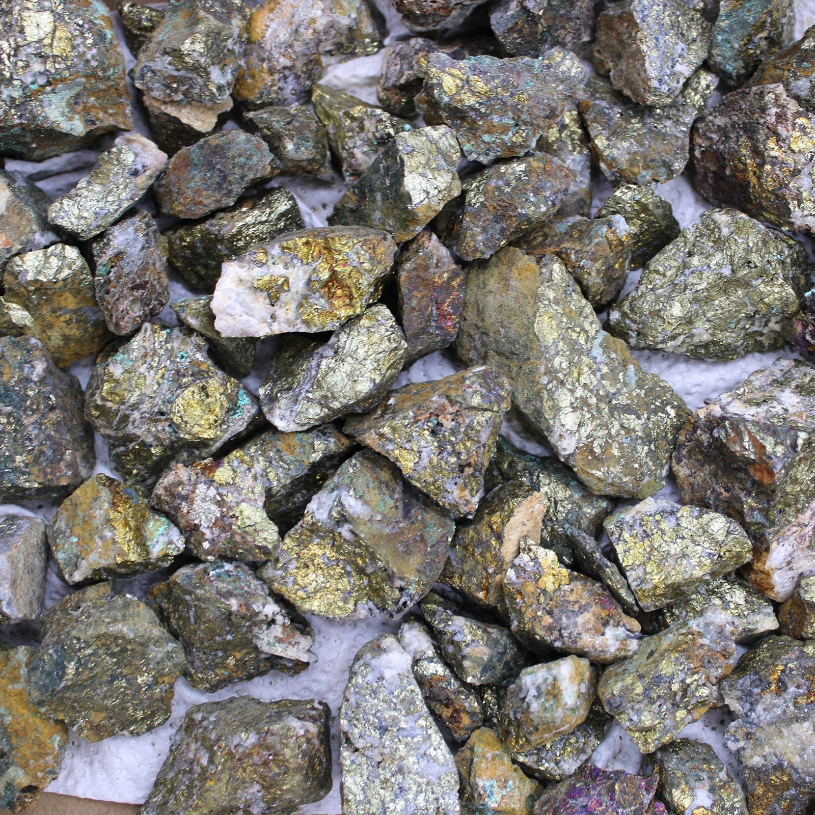 Chalcopyrite Mineral Collection – Approx. 80 Pieces rough chalcopyrite stones with metallic gold iridescent surface