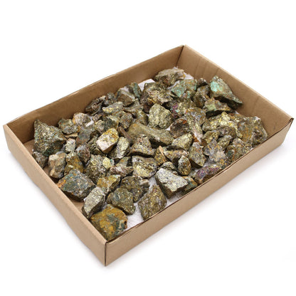 Alt Tag: Chalcopyrite Mineral Collection – Approx. 80 Pieces en bandeja, piezas de mineral de calcopirita en bruto con brillo metálico