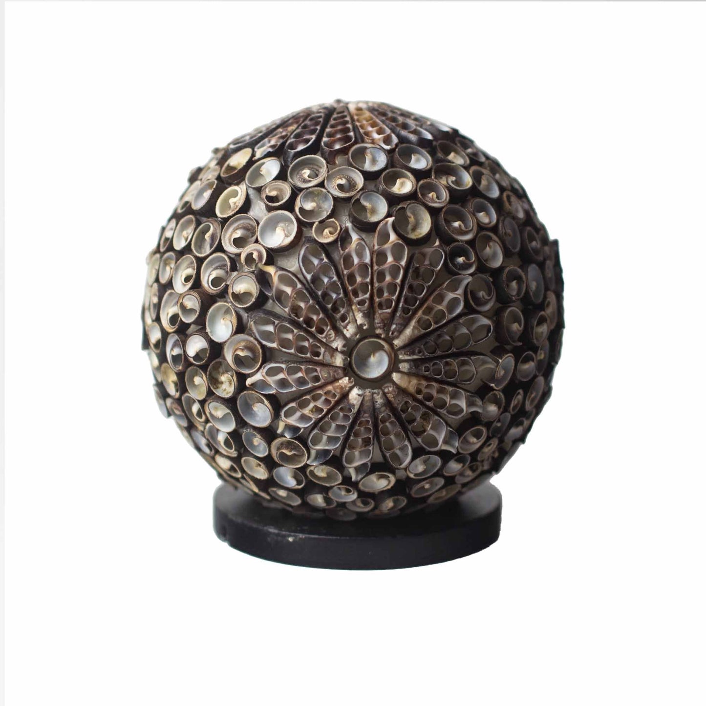 Alt Tag: Lámpara de conchas Chocolate Twist – 15CM lámpara esférica artesanal de conchas naturales con base negra, estilo bohemio costero
