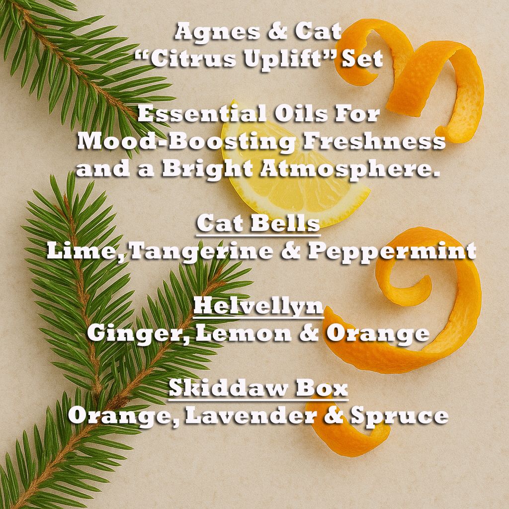 Citrus Uplift Essential Oil Blends – Set of 3 with citrus peel and pine, includes Cat Bells, Helvellyn, Skiddaw Box scents