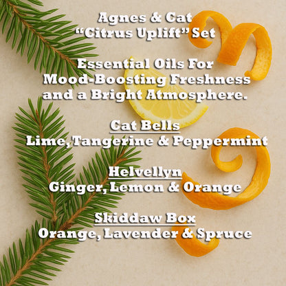 Citrus Uplift Essential Oil Blends – Set of 3 with citrus peel and pine, includes Cat Bells, Helvellyn, Skiddaw Box scents