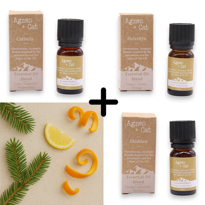 Alt Tag: Citrus Uplift Essential Oil Blends – Set of 3, three essential oil blend bottles and boxes with citrus peel and greenery