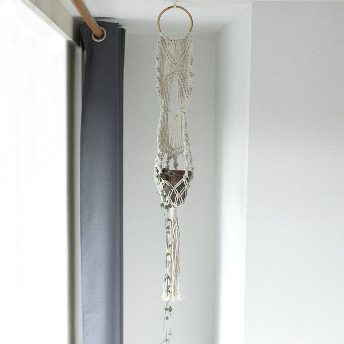 Alt Tag: Cotton Macrame Pot Holder – Long Rattan Hoop 100 CM hanging cotton macrame plant holder with rattan hoop and potted trailing plant