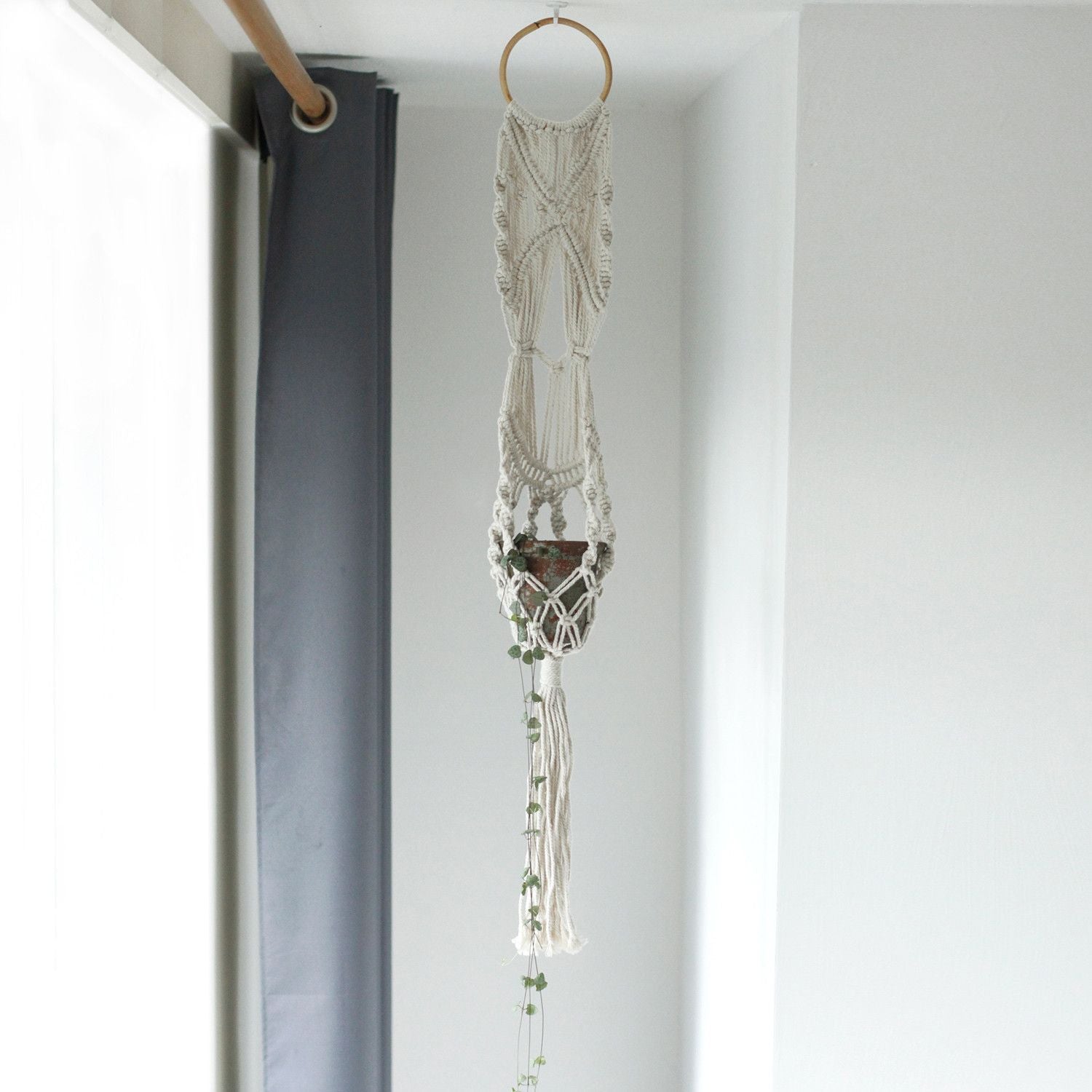 Alt Tag: Cotton Macrame Pot Holder – Long Rattan Hoop 100 CM hanging cotton macrame plant holder with rattan hoop and potted trailing plant