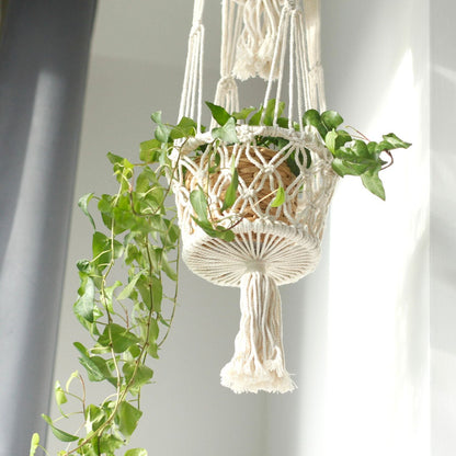 Alt Tag: Cotton Macrame Pot Holder – Double Hanger holding a potted trailing plant, natural cotton macrame double plant hanger in bright room