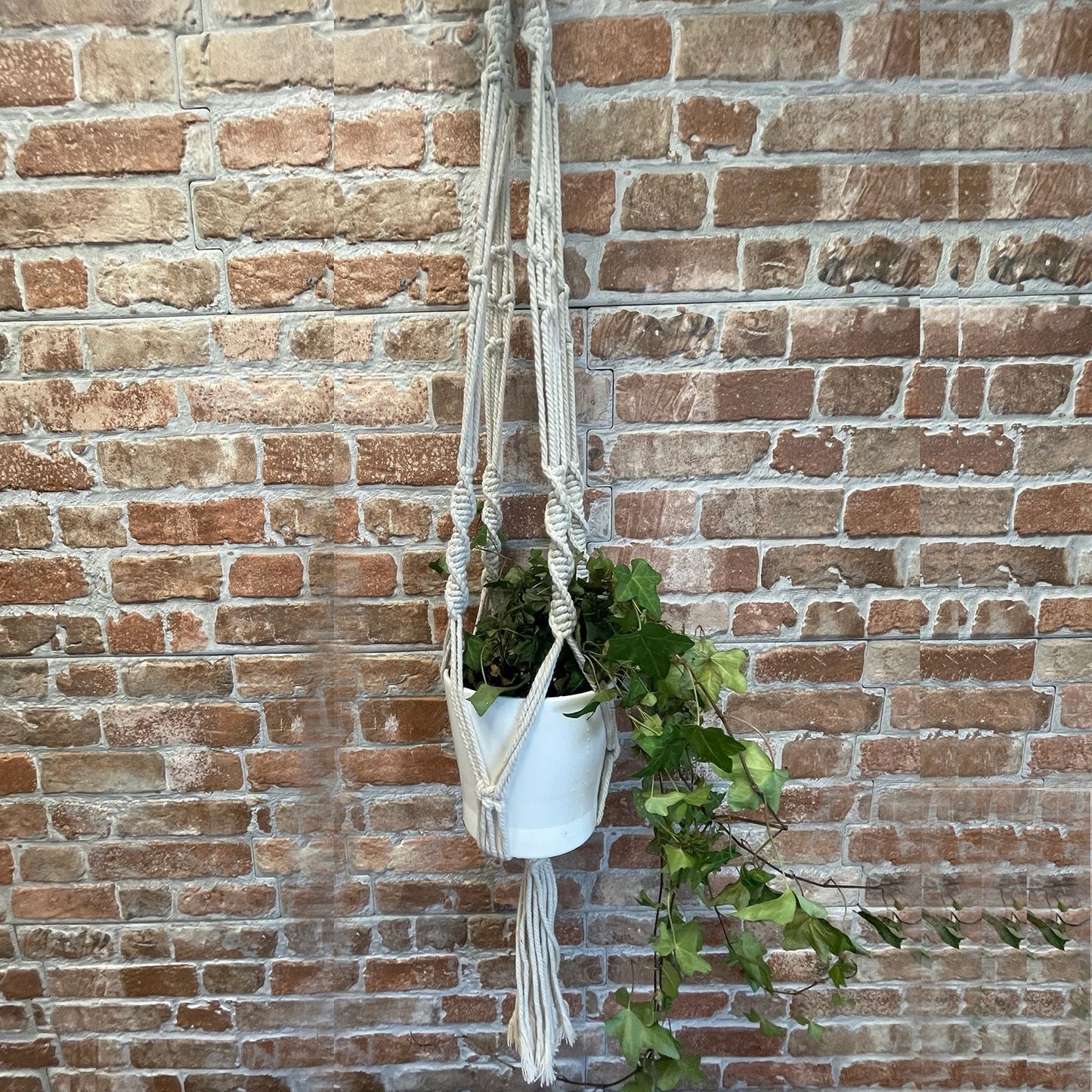 Alt Tag: Cotton Macrame Pot Holder – Large 90x15 CM holding white hanging planter with trailing greenery against brick wall