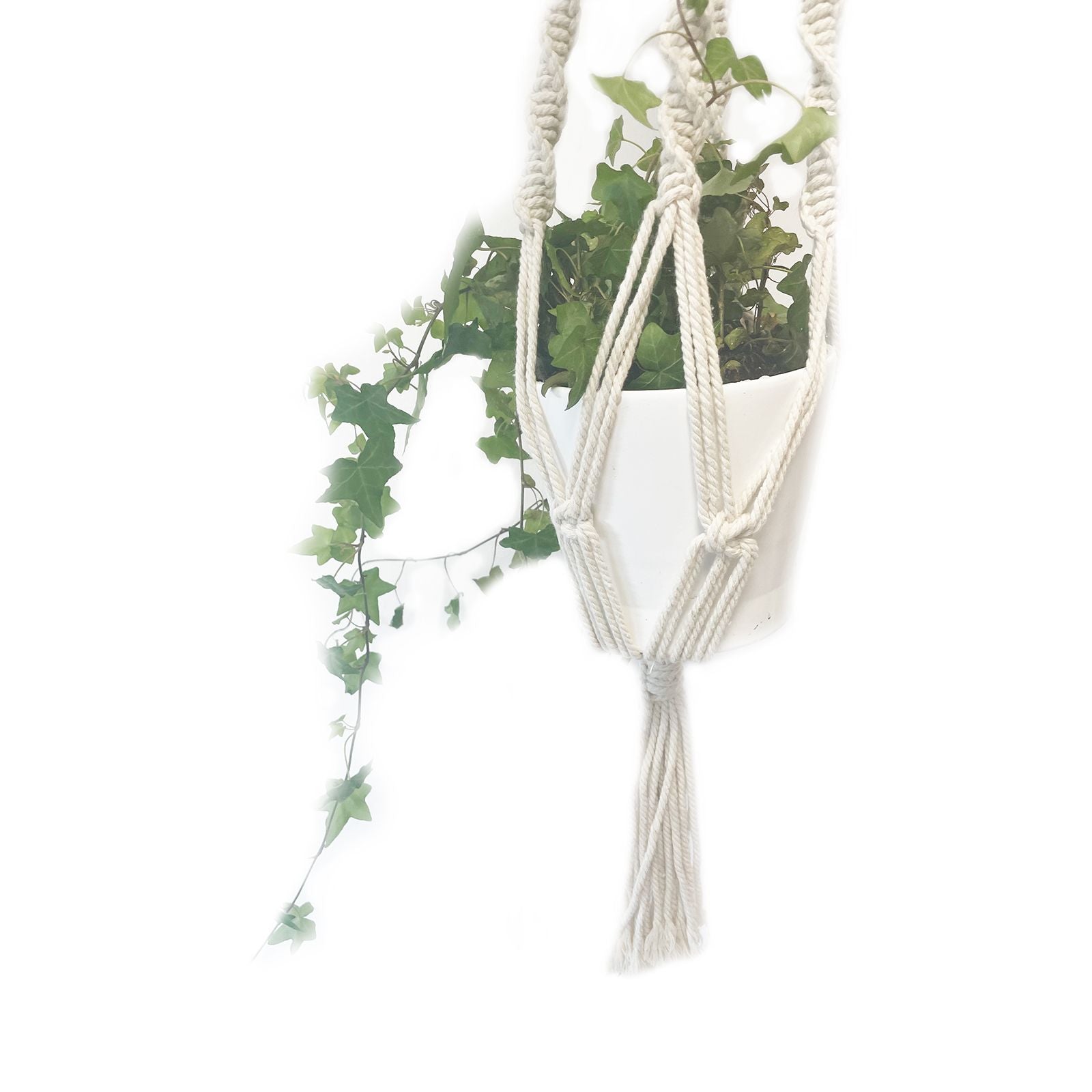 Alt Tag: Cotton Macrame Pot Holder – Large 90x15 CM, handmade cotton macrame plant hanger holding white pot with trailing ivy