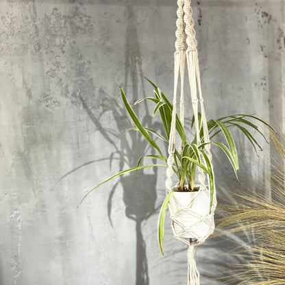 Cotton Macrame Pot Holder – Large 90x15 CM colgador de macramé de algodón con planta colgante en interior, color crema