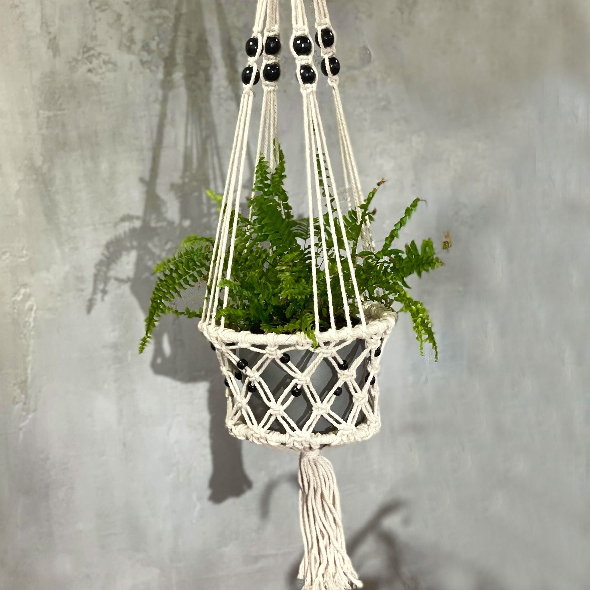Cotton Macrame Pot Holder – Large Beaded hanging cotton macrame plant hanger with black beads, holding a potted fern against gray wall