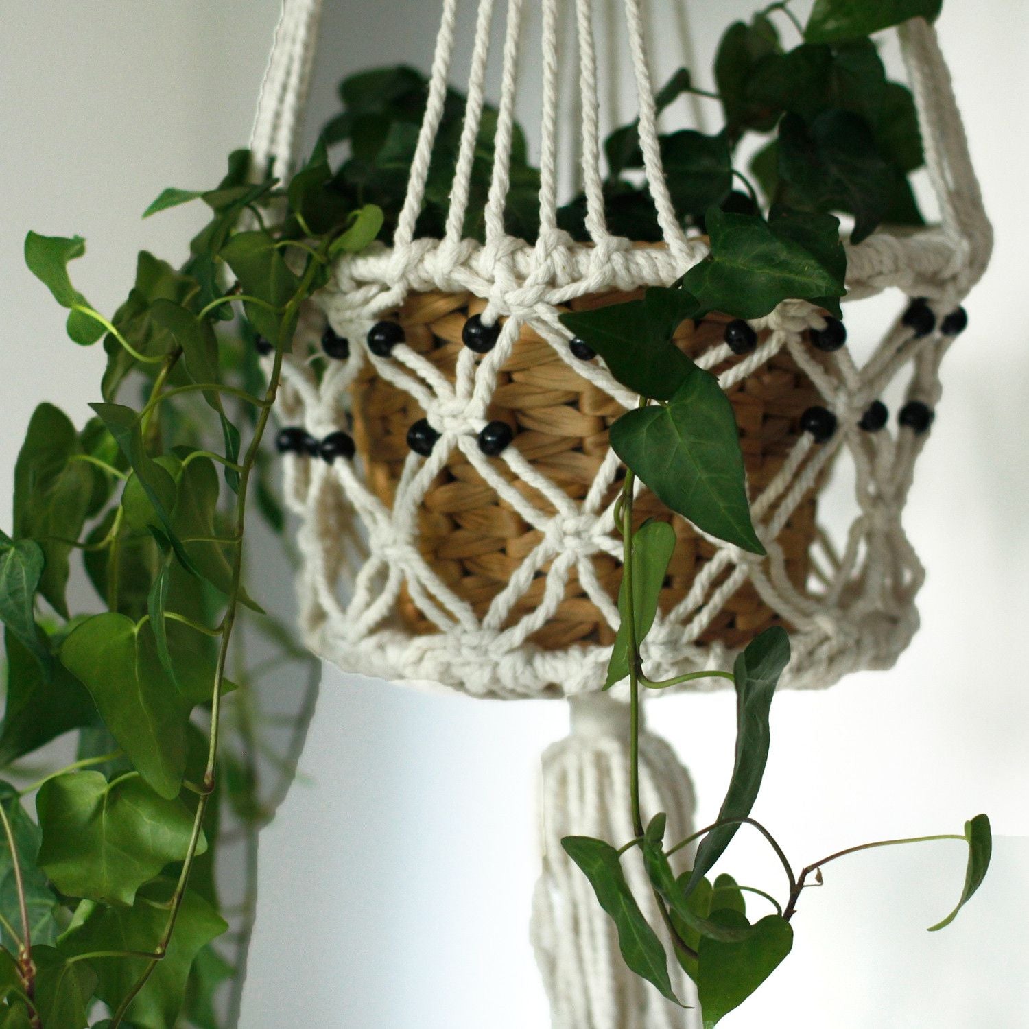 Cotton Macrame Pot Holder – Large Beaded holding woven basket planter with trailing green houseplant, white cotton cord and black beads