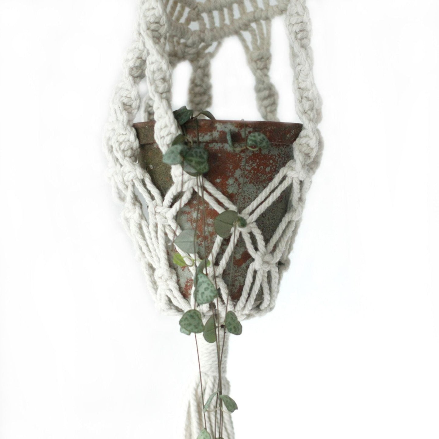 Cotton Macrame Pot Holder – Long Rattan Hoop 100 CM holding a rustic terracotta planter with trailing greenery