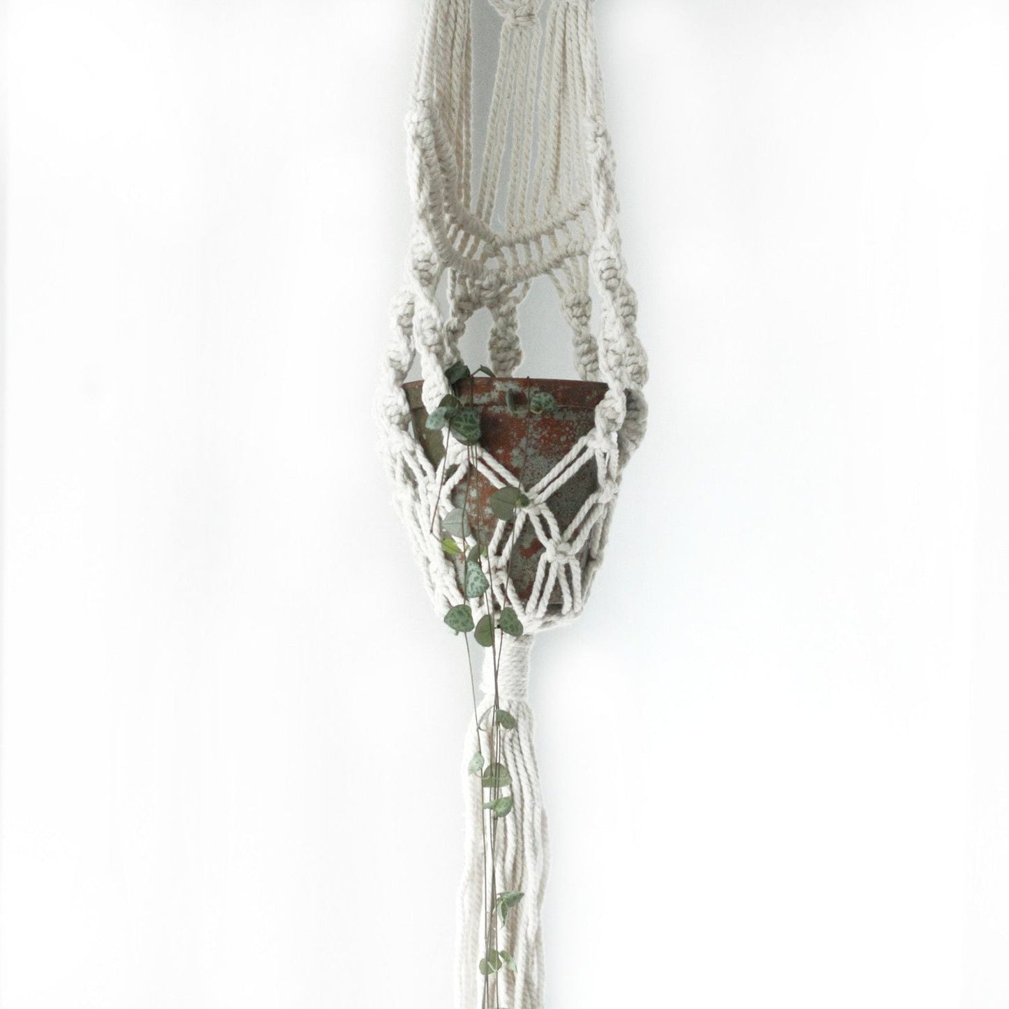 Cotton Macrame Pot Holder – Long Rattan Hoop 100 CM colgador de macramé de algodón con aro de ratán y maceta colgante