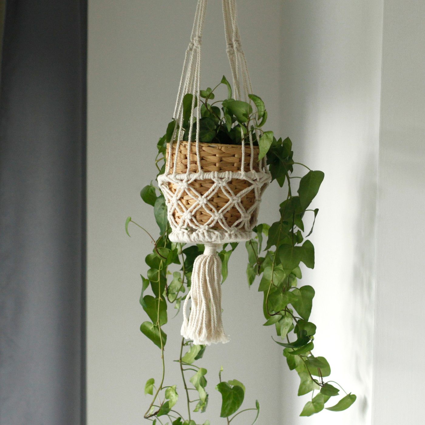 Cotton Macrame Pot Holder – Single Small 75x7 CM holding a small woven planter with trailing green pothos, hanging near a window