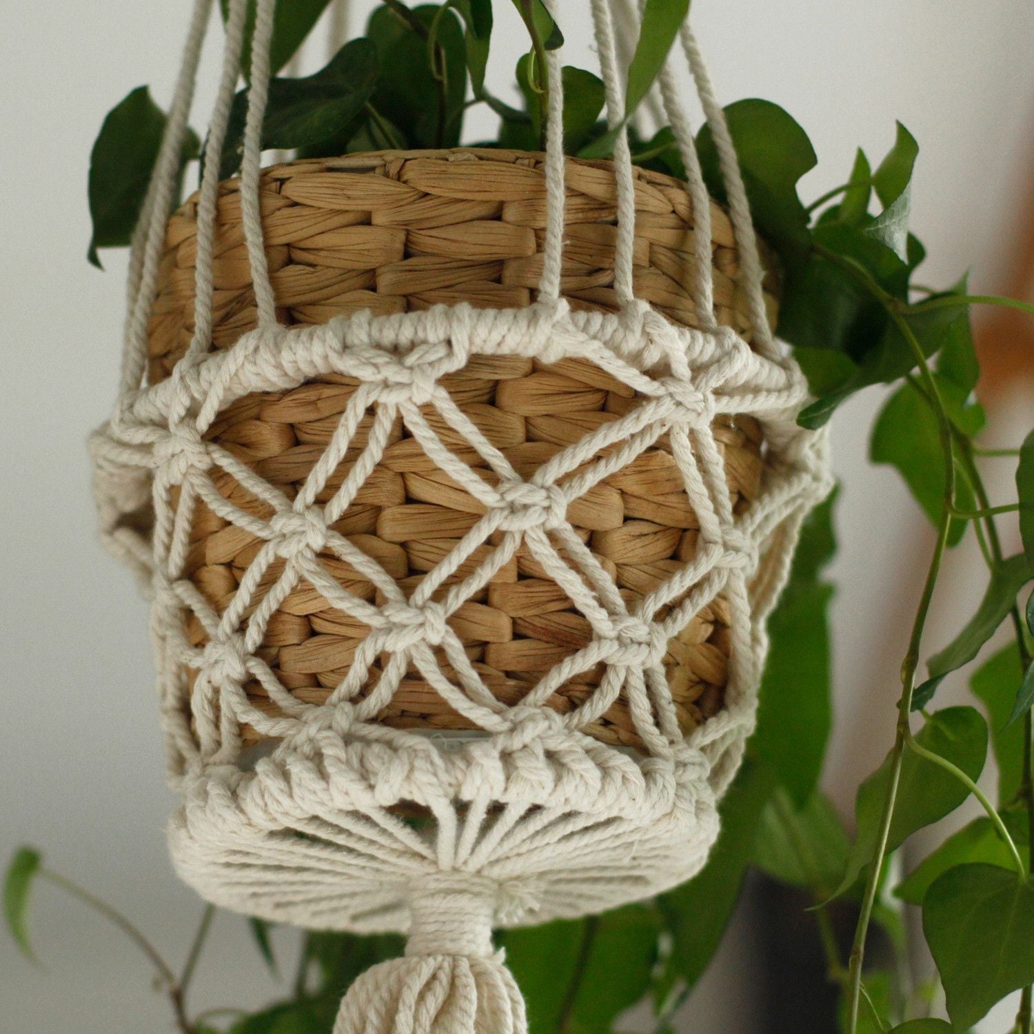 Alt Tag: Cotton Macrame Pot Holder – Single Small 75x7 CM holding a woven planter with trailing green plant, handmade cotton macrame hanger