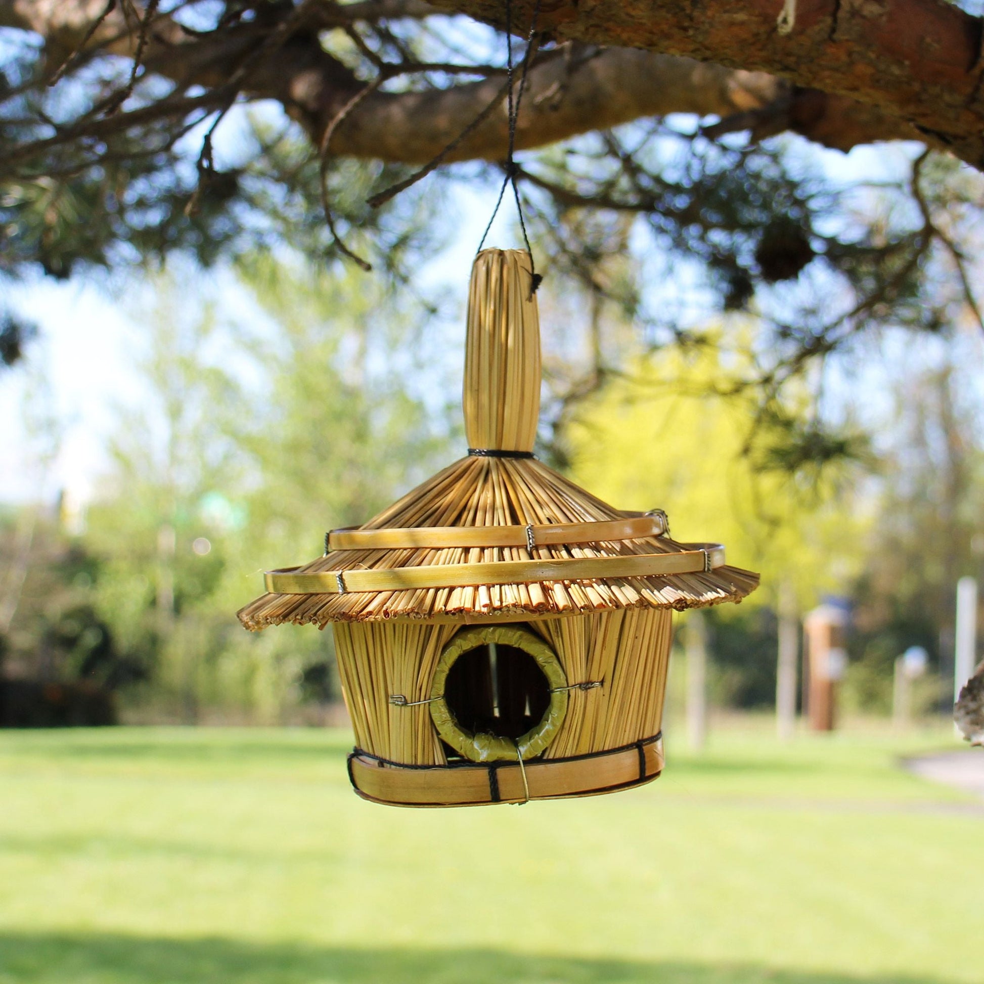 Alt-Tag: Gemütliches Seegras-Vogelhaus – hängendes Vogelhaus aus Seegras und Bambus (17x17 CM) an einem Baumast im Garten