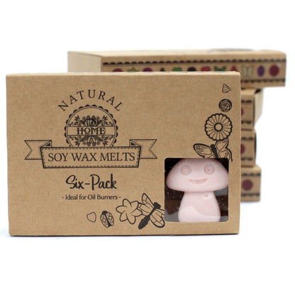 Set de regalo de wax melts de sándalo oscuro – pack de 6 wax melts de cera de soja, caja de regalo de seis unidades para quemadores de aceite, packaging natural para el hogar