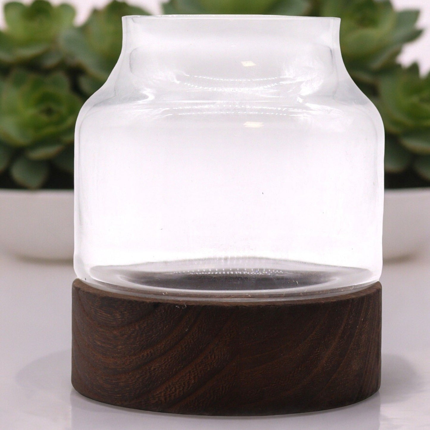 Alt Tag: Dark Tung Wood Glass Terrarium – 16x18 CM with clear glass top and dark tung wood base, modern tabletop plant display