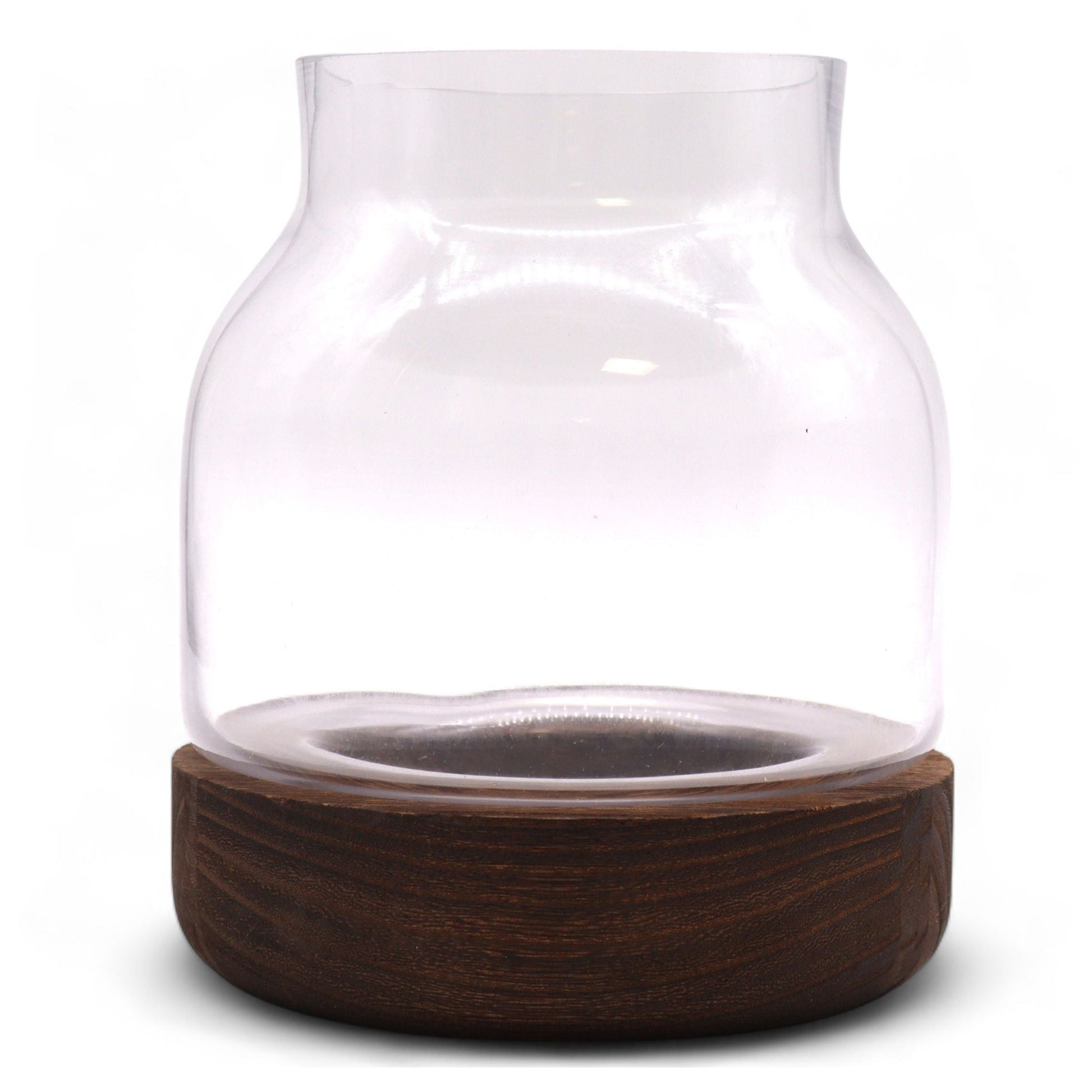Dark Tung Wood Glass Terrarium – 16x18 CM with clear glass vessel on dark tung wood base for plants or miniature décor