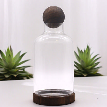 Dark Tung Wood Glass Terrarium – 16x23 CM clear glass terrarium with dark tung wood base and lid, minimalist home decor
