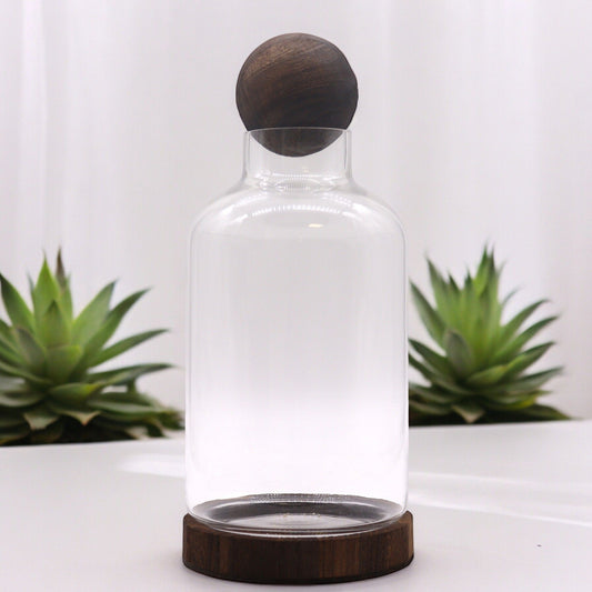 Dark Tung Wood Glass Terrarium – 16x23 CM clear glass terrarium with dark tung wood base and lid, minimalist home decor