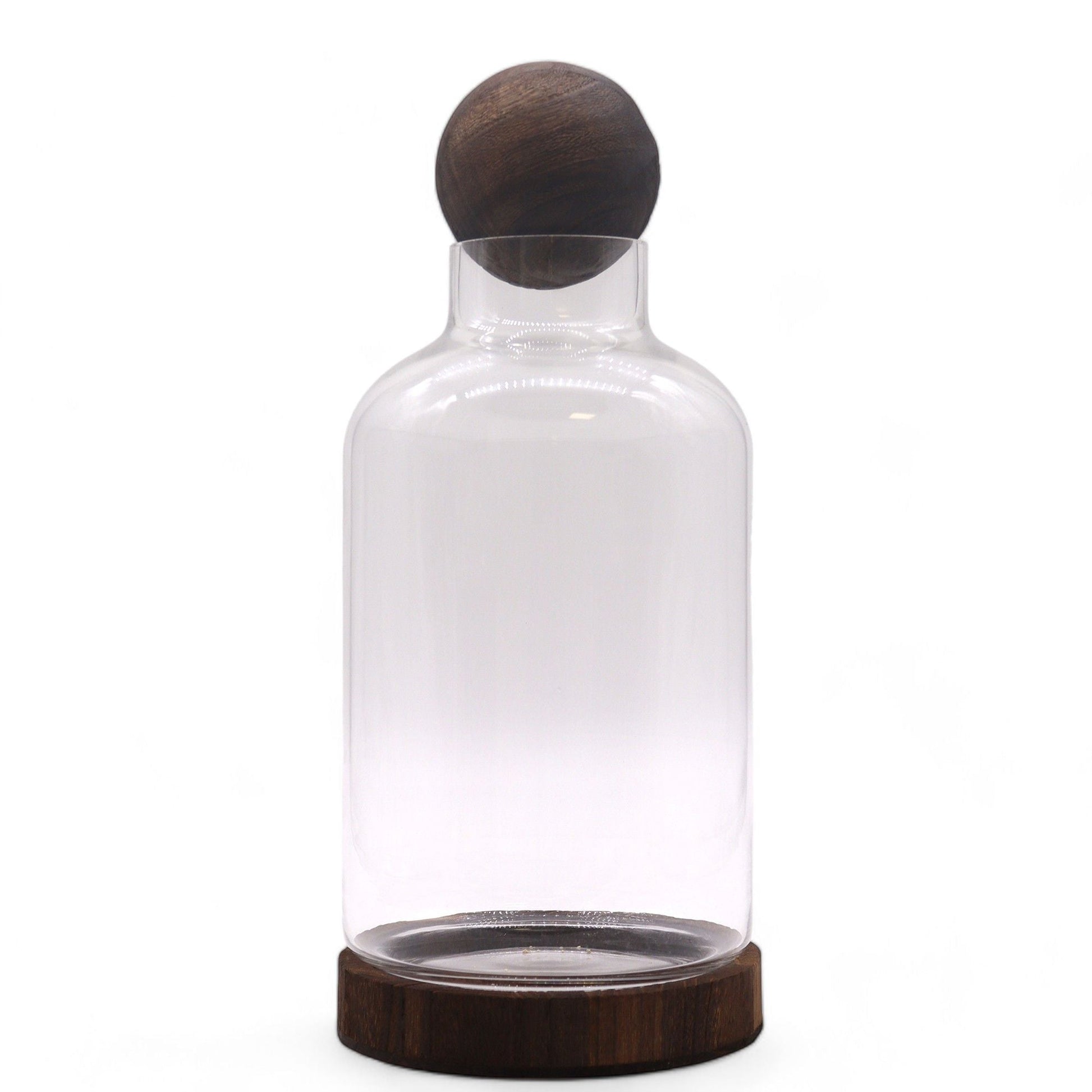 Dark Tung Wood Glass Terrarium – 16x23 CM con cúpula de vidrio transparente y base redonda de madera oscura