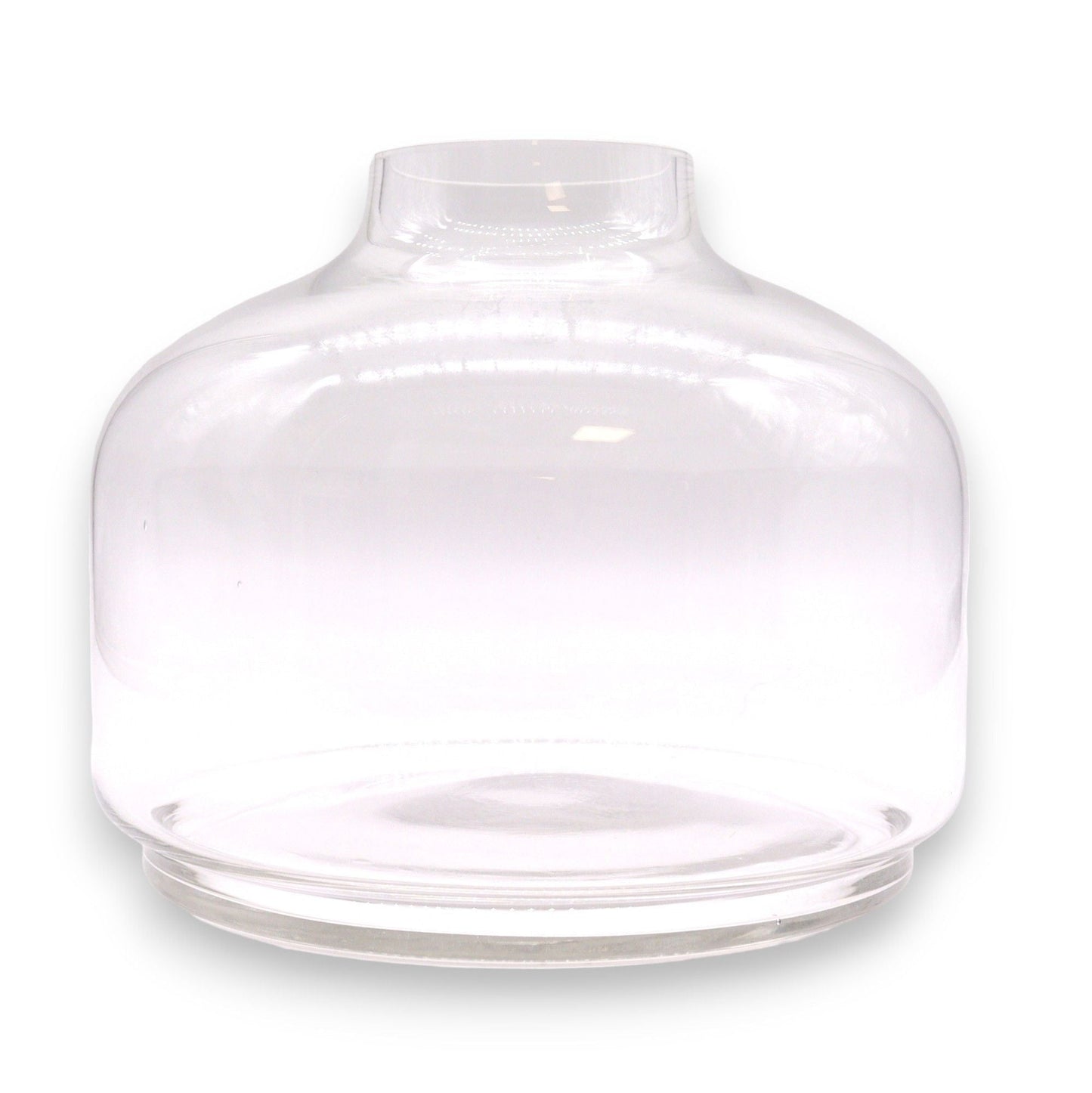 Alt Tag: Dark Tung Wood Glass Terrarium – 23x23 CM clear glass dome cover for terrarium, minimalist rounded shape