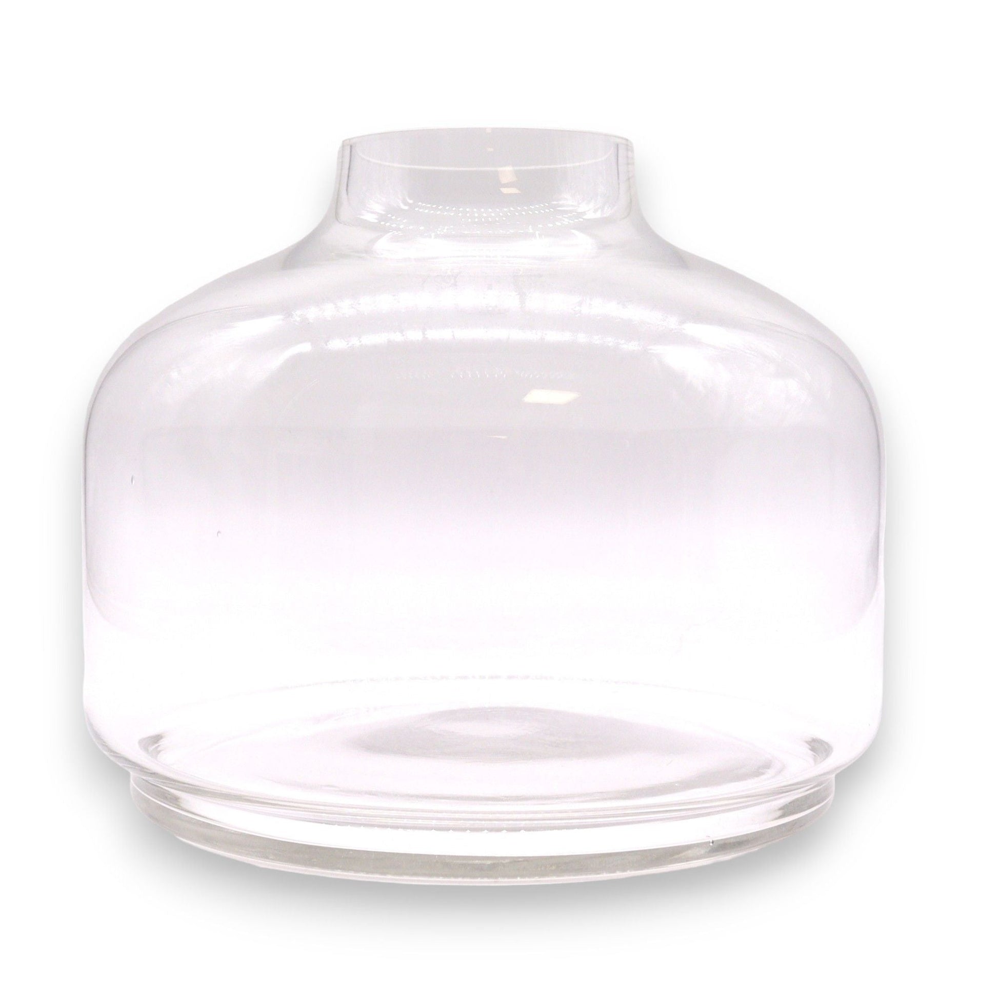 Alt Tag: Dark Tung Wood Glass Terrarium – 23x23 CM clear glass dome cover for terrarium, minimalist rounded shape