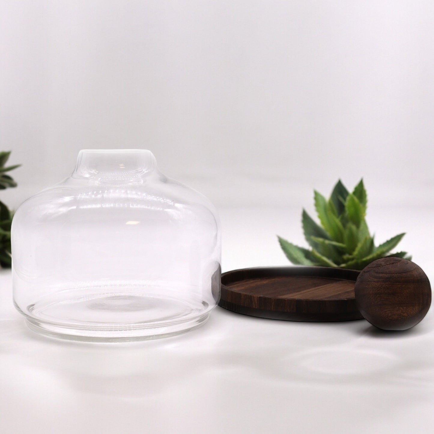 Alt Tag: Dark Tung Wood Glass Terrarium – 23x23 CM with clear glass dome and dark tung wood base, modern rustic tabletop display