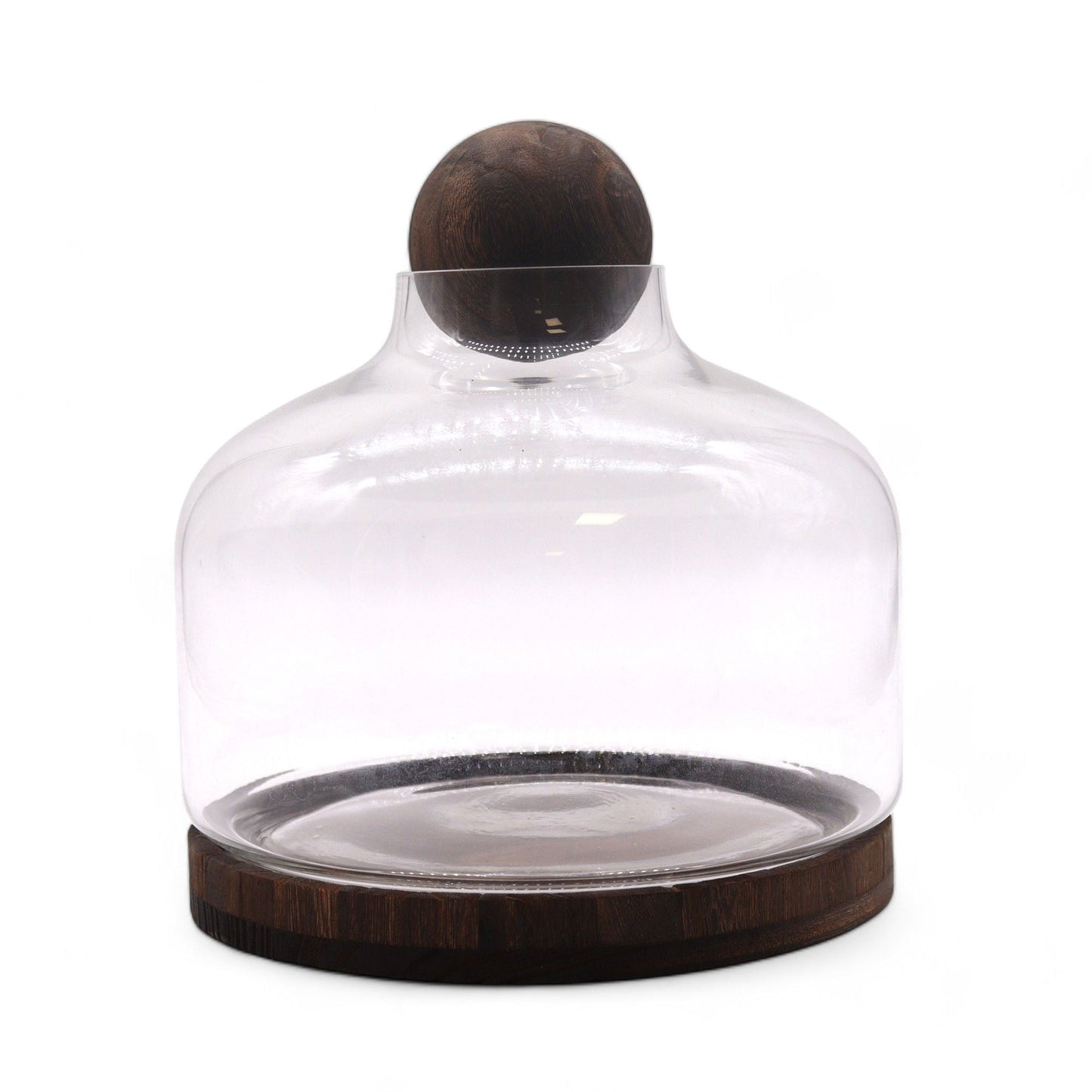 Dark Tung Wood Glass Terrarium – 23x23 CM with clear glass dome and dark tung wood base, modern rustic tabletop plant display