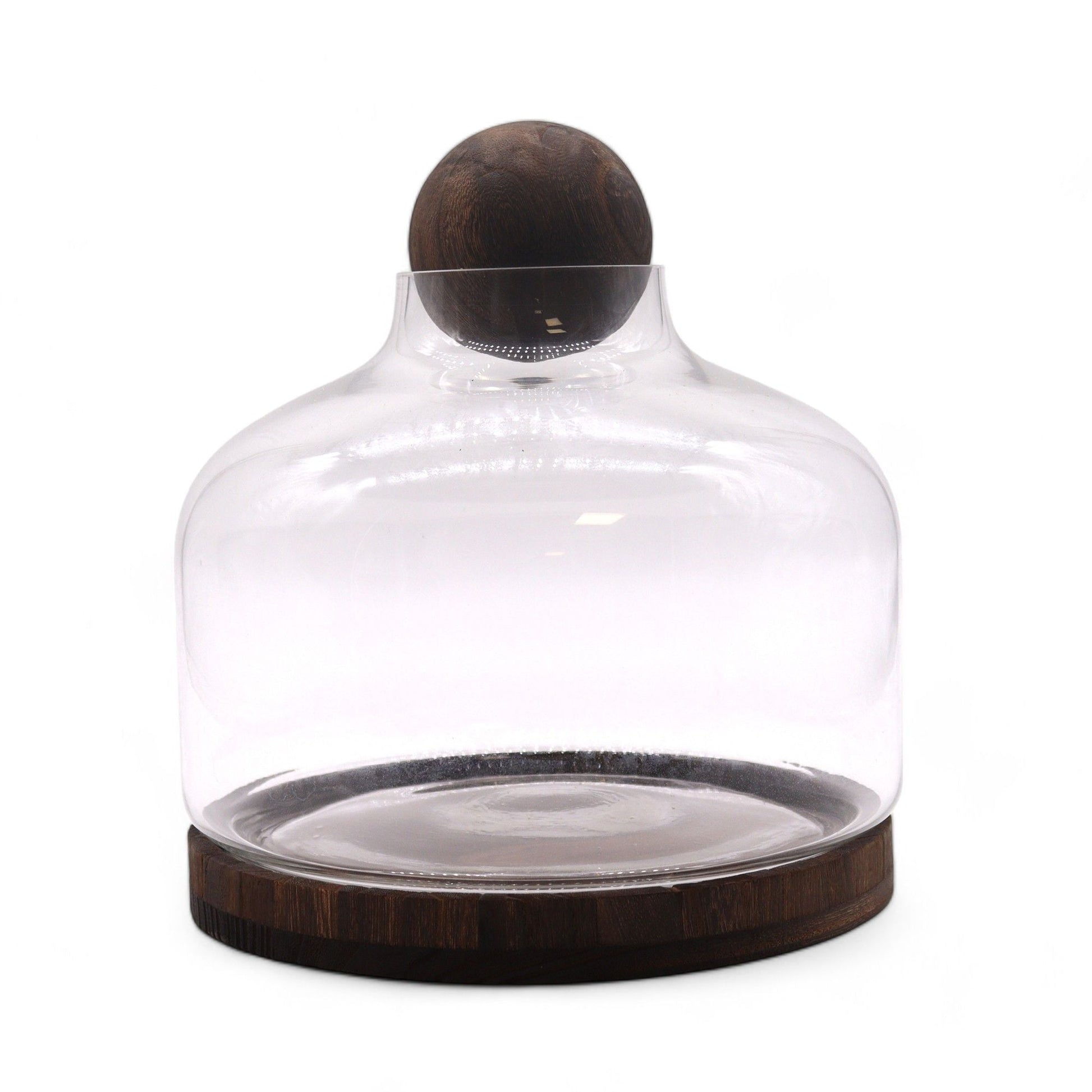 Dark Tung Wood Glass Terrarium – 23x23 CM with clear glass dome and dark tung wood base, modern rustic tabletop plant display