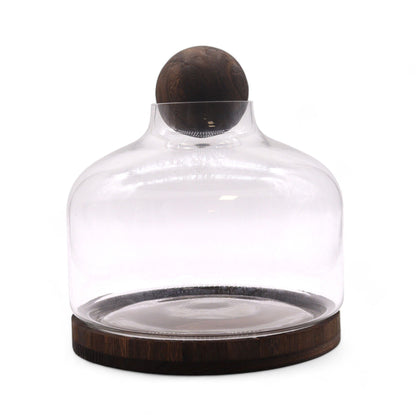 Dark Tung Wood Glass Terrarium – 23x23 CM with clear glass dome and dark tung wood base, modern rustic tabletop plant display