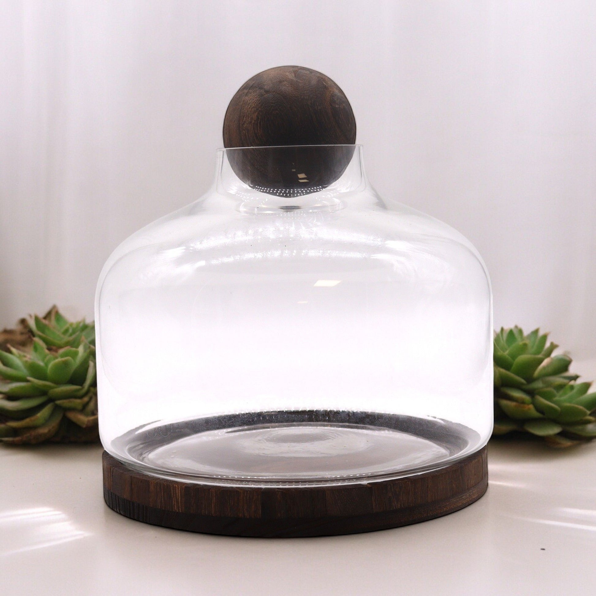 Alt Tag: Dark Tung Wood Glass Terrarium – 23x23 CM with clear glass dome and dark tung wood base for plants or decor display