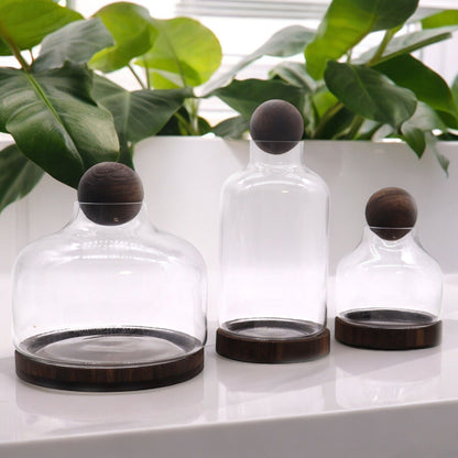 Dark Tung Wood Sphere Terrarium – 17x22 CM glass terrarium with dark tung wood base and wood sphere lid, tabletop decor