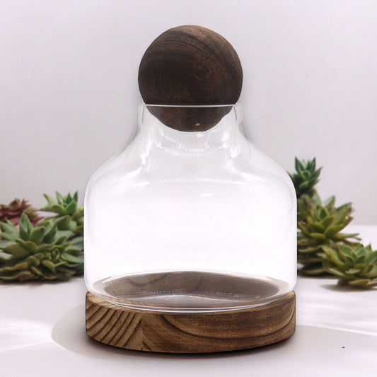 Alt Tag: Dark Tung Wood Sphere Terrarium – 17x22 CM glass terrarium with dark tung wood sphere lid and wooden base
