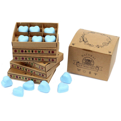 Alt Tag: Dewberry Luxury Wax Melts Gift Set – 6 Pieces, set de 6 melts en forma de corazón azul en caja de regalo kraft de cera de soja