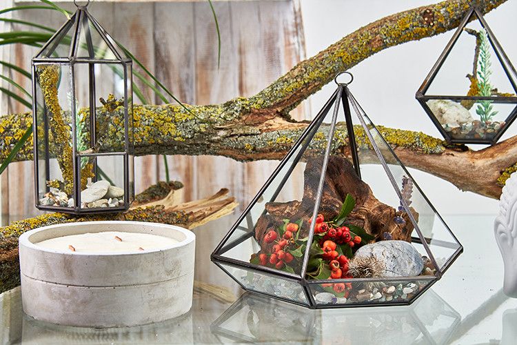 Alt Tag: Elegant Glass Terrarium – Large Diamond with brass frame, hanging geometric planter featuring succulents and decorative stones