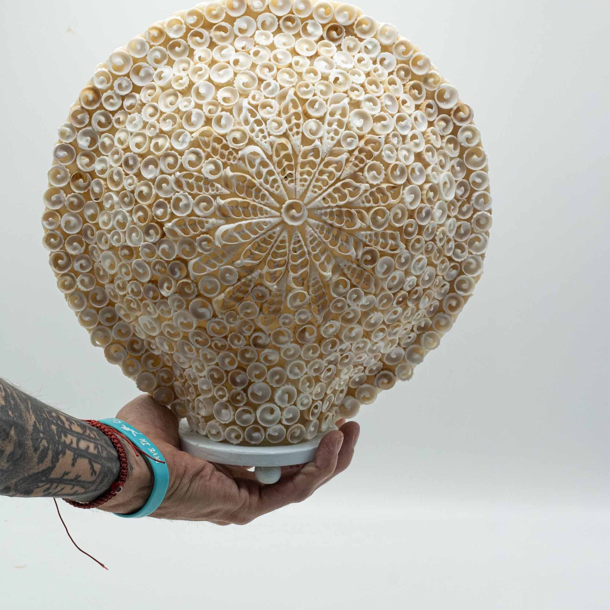 Boho-lampa med snäckskal i glasfiber – stor rund 30CM, rund lampa 30 cm med snäckskal på glasfiber och träbas
