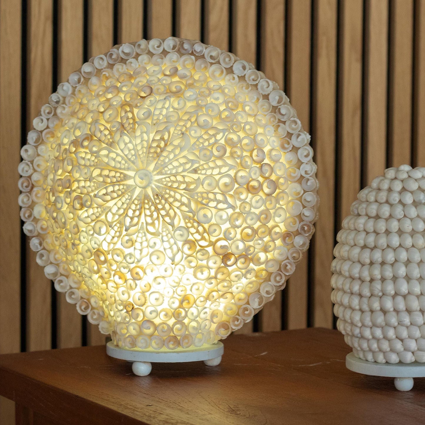 Alt Tag: Glasfiber Boho Sea Shell Lamp – stor rund 30CM lysande rund snäckbordslampa på träbas, varm belysningsdekor