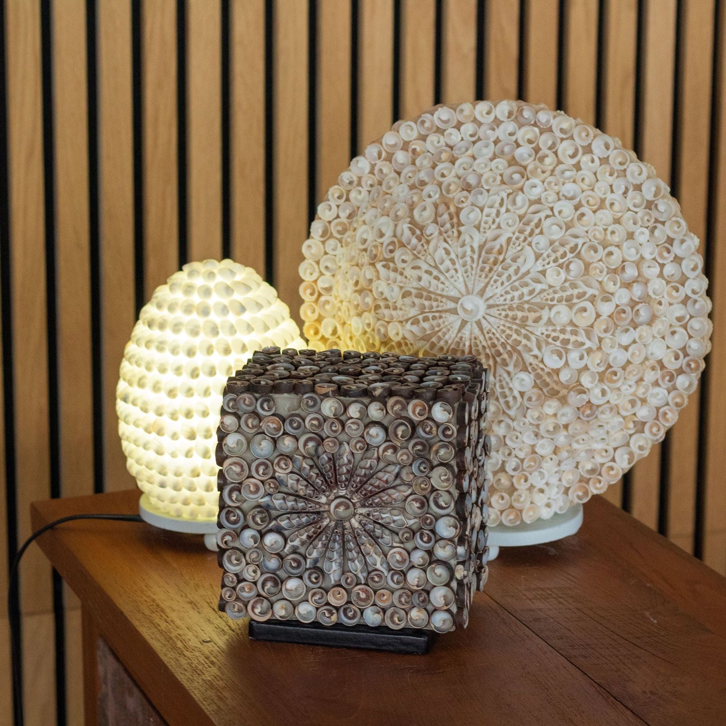 Glasfiber & snäckskal-lampa – oval 15CM tänd, boho-snäcklampa på träbord, dekorativt varmvitt ljus