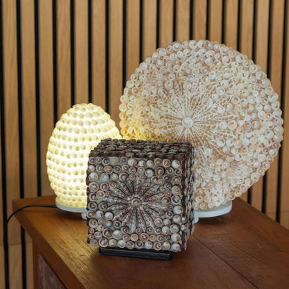 Glasfiber & snäckskal-lampa – oval 15CM tänd, boho-snäcklampa på träbord, dekorativt varmvitt ljus