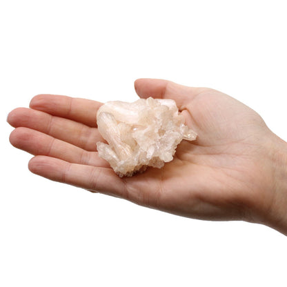 Finger Quartz Specimens – 1KG Pack: muestra de cuarzo tipo dedo en la mano, mineral natural para colección