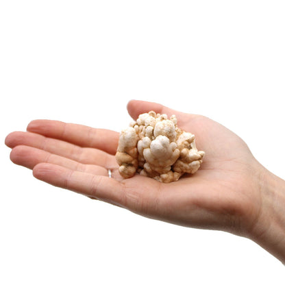 Finger Quartz Specimens – 1KG Pack mineral specimen held in hand, natural quartz cluster for collectors and crystal displays