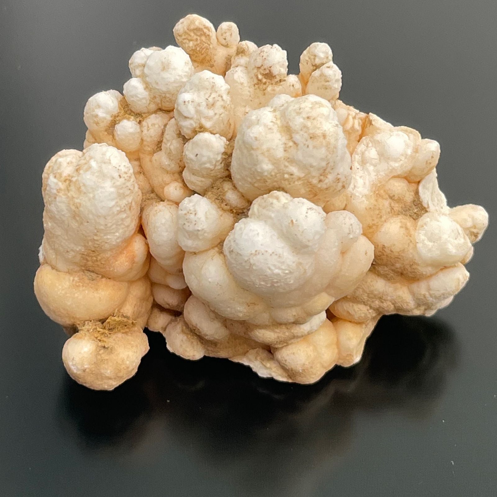 Alt Tag: Flower Calcite Specimens – 20-Piece Collection, beige and white botryoidal calcite cluster with flower-like formations